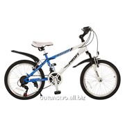Велосипед 20 Battery Motion 20.3 сине-белый фотография