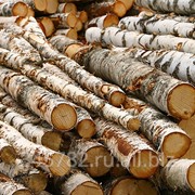 Пиломатериалы из березы фото