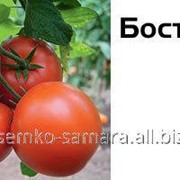 Семена томатов Бостина F1 Т47821 фото