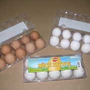 Яйца куриные КоКо-10-п.С1