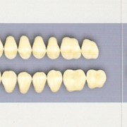 Зубы акриловые фимы «PoliDent». Зубы искусственные гарнитурные трехслойные акриловые. фото