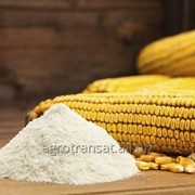 Мука кукурузная на экспорт фото