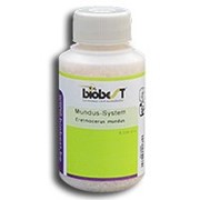 Mundus-System (Система Мундус фото