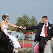Жених на белом коне. фотография