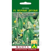Огурец Верные друзья F1 12шт. (Манул) фото