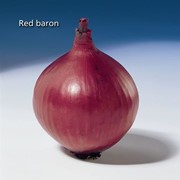 Семена лука "Ред Барон" 1000 семян