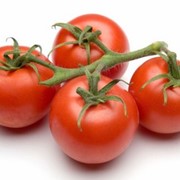 Семена томатов загадка
