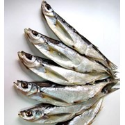 Рыба вяленая, копченая, св/м, охлажденная речная рыба, а так же филе и тушка. фото