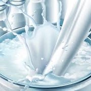 Сухое обезжиренное молоко 1,5% производства Казахстана и стран СНГ фотография