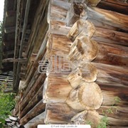Срубы бани деревянные фотография