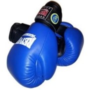 Перчатки боксерские REYVEL 12 унц ФБУ (одноцветные) фото