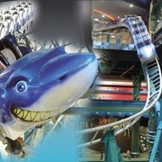 Американские горки Shark Coaster Code MX53