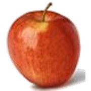 Яблоки ROYAL GALA фото