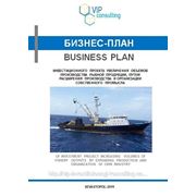 Бизнес-планы проектов расширения и модернизации производства