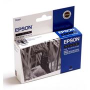 Картридж Epson C13T048140