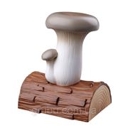 Технология выращивания грибов на древесине фото