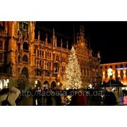Новогоднее предложение: Мюнхен с выездом в Альпы фото