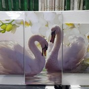 Модульная картина трехпанельная 60 х 100 см Два белых лебедя и белы цветы фотография