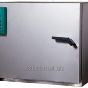 Шкаф сушильный ШС-80-01-СПУ (нерж., 200*С) фото