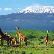 Тур Траверс Килиманджаро с ночевкой в кратере