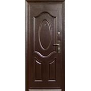 Дверь металлическая входная МАГНА М-06 (уличная/ квартирная)