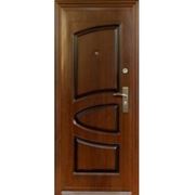 Дверь металлическая входная МАГНА М-09 (квартирная) фото