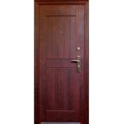 Дверь металлическая входная МАГНА М-15 (квартирная) фото