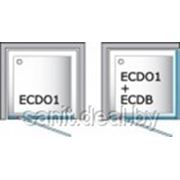 Душевая дверь Roltechnik Exclusive Line ECDO1 800 фото