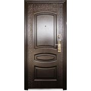 Двери металлические Магна «М-01, 03 эконом» фотография
