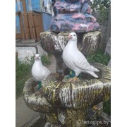 Скульптуры декоративные птиц фотография