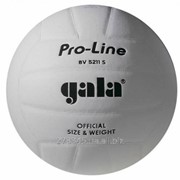 Мяч волейбольный Gala Pro-Line BV 5211SAE