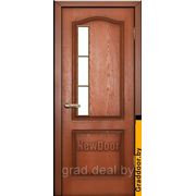Дверь МДФ крашенная №13 глухая и под остекление фотография