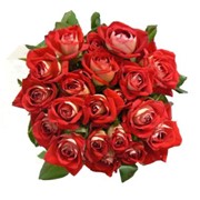 Розы красные, Купить (продажа) оптом в Броварах (Киев, Украина), Цена самая выгодная фото