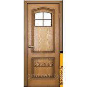 Дверь МДФ крашенная №2 глухая и под остекление фотография