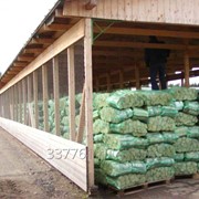 Дрова березовые в сетках камерной сушки до 20% влажности