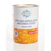Embryo Artemia - Decapsulated Brine Shrimp Eggs For Hatching 80-90% HR 1000 ml фото