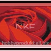 Набор для вышивания “Звучание розы“ H160 фото