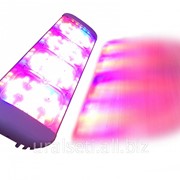 Светодиодный тепличный фитосветильник ECOLED-BIO-112-136W UniversaLED фото