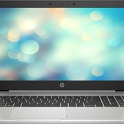 Ноутбук HP ProBook 450 G7 (2D345ES) фото