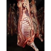 Мясо говядины 2 категории,глубокой заморозки, Мясо говяжье полутуши глубокой заморозки фото