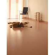 Линолеум натуральный Marmoleum (Нидерланды) фото
