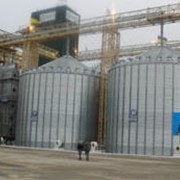 Строительство объектов зерноперерабатывающей отрасли Украина фото