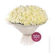 Розы белые, купить, заказать в Киеве (Киев, Украина) фотография