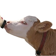 Белково-витаминно-минеральный концентрат для коров КауСуперЛайн 10%