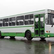 Перевозки пассажирские по России на автобусах фото