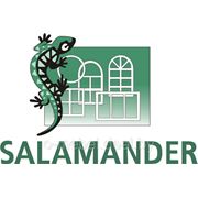 Пластиковые окна (ПВХ) Salamander Stream. фото