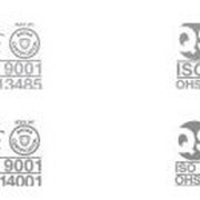 Сертификация интегрированных систем менеджмента (2 стандарта) фото