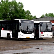 Услуги рейсовых автобусов фото