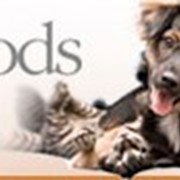 Корзины-переноски для собак и кошек фото