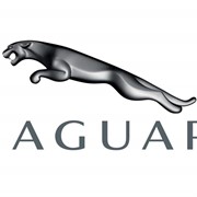 Двигатели для Jaguar фотография